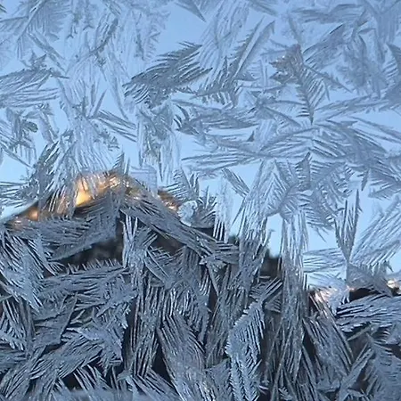 S'bergnestle 公寓 *